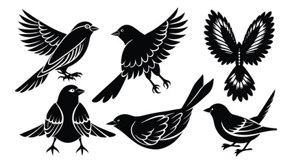 Bird silhouette illustration