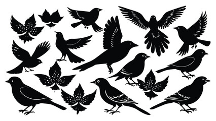 Bird silhouette illustration