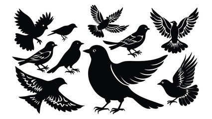 Bird silhouette illustration