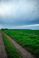 Dirt Road Winding Through Expansive Green Fields Under a Cloudy Sky