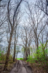 Fields and train around the forest , landscape photography with train and power electricity lines ,woods ner the reailway road 