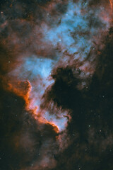 Fototapeta premium The North America Nebula (NGC 7000 or Caldwell 20)