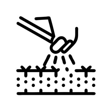 hand planting seeds in soil clip art preview