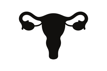 Uterus anatomy female reproductive system diagram