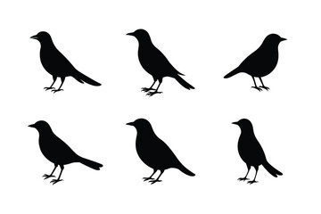 Blackbird silhouette bundle  illustration, Blackbird silhouette  vector 