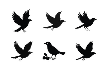 Blackbird silhouette bundle  illustration, Blackbird silhouette  vector 