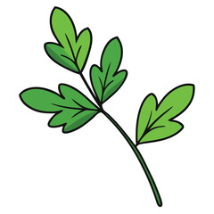 leaves on a white background