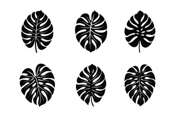 Fototapeta premium Monstera leaf silhouette bundle illustration, Monstera leaf silhouette vector 