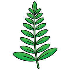 leaves on a white background