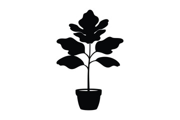 Monstera leaf silhouette bundle  illustration, Monstera leaf silhouette vector 