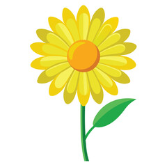 Yellow flower on a white background