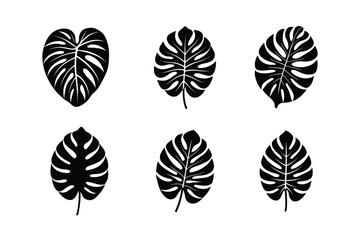 Monstera leaf silhouette bundle  illustration, Monstera leaf silhouette vector 