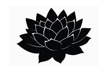 vector illustration of lotus flower