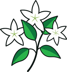  flower vector illustration on transparent background.