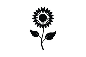 sunflower vector illustration