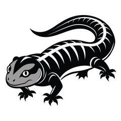 Salamander Silhouette Vector 