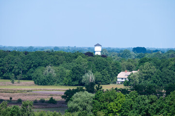 Fototapeta premium Landscape over green tree tops at the Kalmthoutse Heide nature reserve, Kalmthout, Antwerp, Belgium