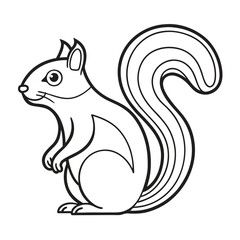 Squirrel Line Art Vector
