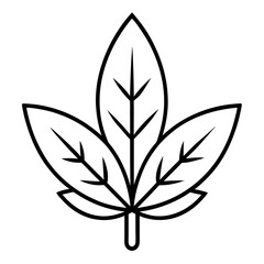 Obraz premium Herb-leaf-icon-duotone