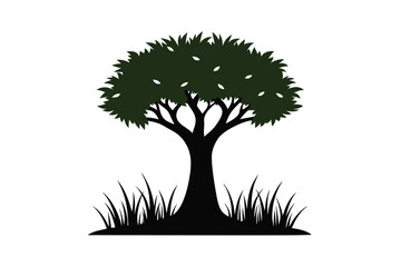 tree silhouette isolated on white