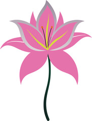 Day lily  flower vector illustration on transparent background.
