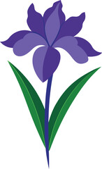 Flower vector illustration on transparent background.