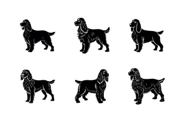 Field Spaniel Dog Breed Drawing