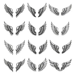 Multiple wing vector illustrations in various styles and curves for fantasy art projects high resolution picture