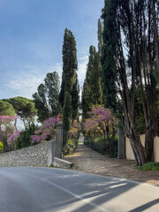 Obraz premium entrance gate from winding road to a lush garden surrounded by cypress trees and blooming spring flowers. exterior design. traditional