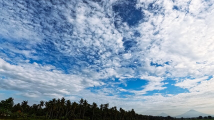 Fototapeta premium Cloudy Sky and Nature - Sky Background