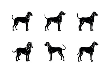 Bloodhound Dog Breed Illustration