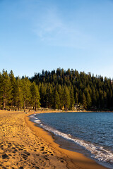 Lake Tahoe Shoreline Where Sandy Beach Meets Forest At Golden Hour