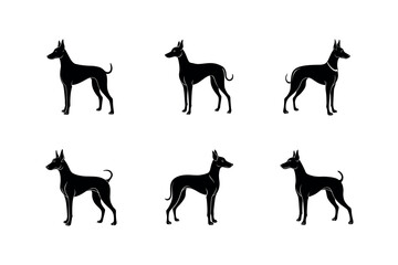 Cirneco dellEtna Dog Breed Graphic