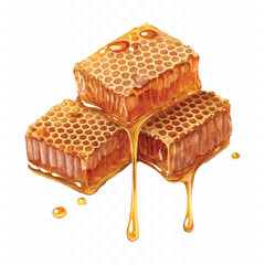 realistic fresh liquid honey dripping from a honeycomb isolated on a transparent background 