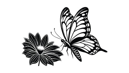 Butterfly Landing on a Flower