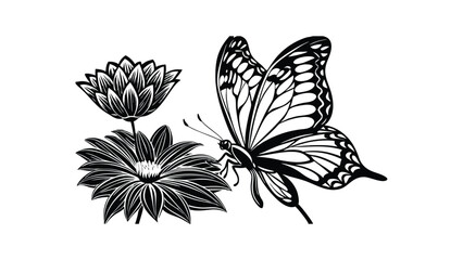 Butterfly Landing on a Flower © Deecurve