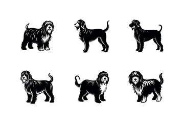Otterhound Dog Breed Artwork

