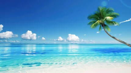 Obraz premium Stunning High-Definition Images of Serene Blue Sky Background: Captivating Visuals of Clear Skies, Soft Clouds, and Timeless Tranquility for Digital Art, Graphic Design, Website Banners