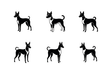 Portuguese Podengo Pequeno Vector