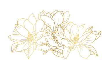 Golden magnolia flowers line art isolated on white background. Luxury magnolia floral design elements for invitation, wedding, wallpaper, print template, vector illustration