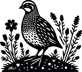 Quail in a field of grass and flowers Black and white illustration
