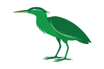 heron isolated on white background