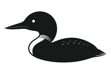 duck isolated on white background