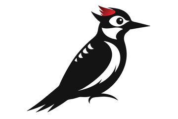 bird on a branch