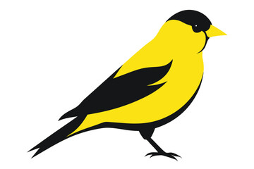 yellow bird on a branch