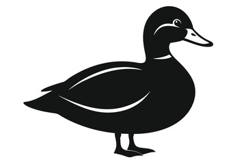 duck isolated on white