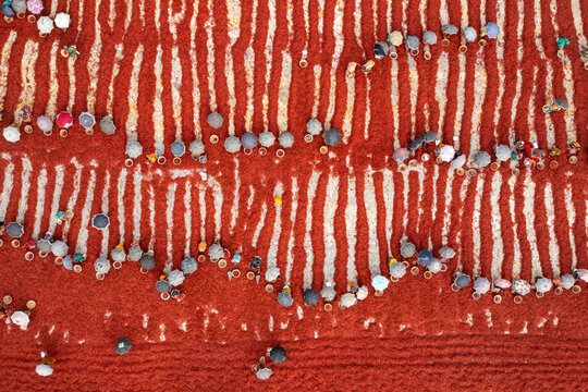 Aerial view of vibrant agricultural fields with sun-dried red chillies and intricate patterns, Durgahata, Rajshahi, Bangladesh.