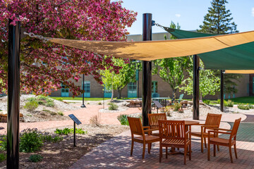 Obraz premium Outdoor seating area with wooden table and chairs under a shade structure on campus setting 