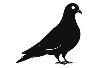 pigeon silhouette vector