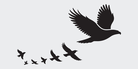 Black Bird Vector Silhouette Set in White Background